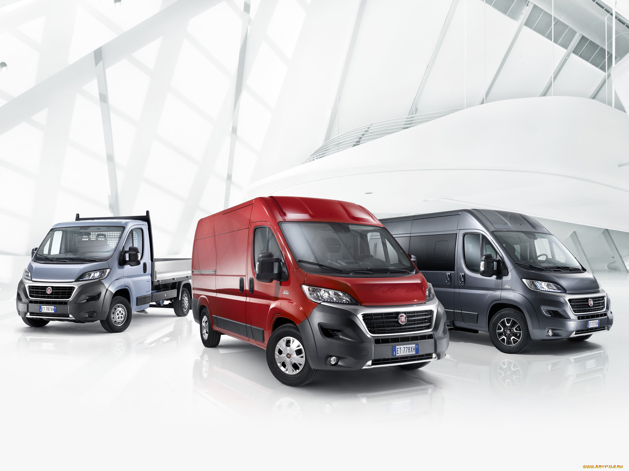 , fiat, ducato